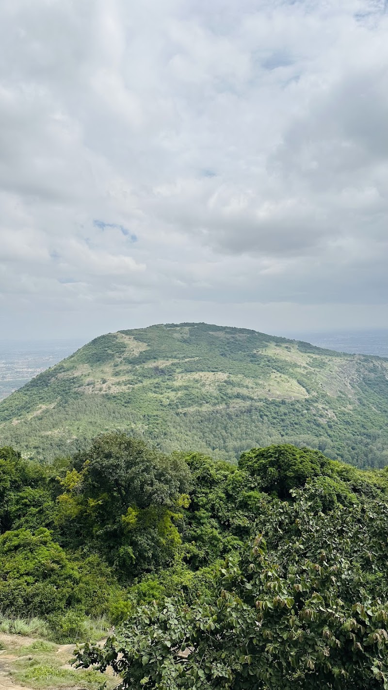 Nandi hills