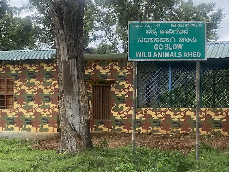 Bandipura Tiger Reserve Forest Department Guest House - Bandipura Tiger Reserve Forest Department Guest House MJ8H+XCX, Bandipur, Karnataka 571126, India