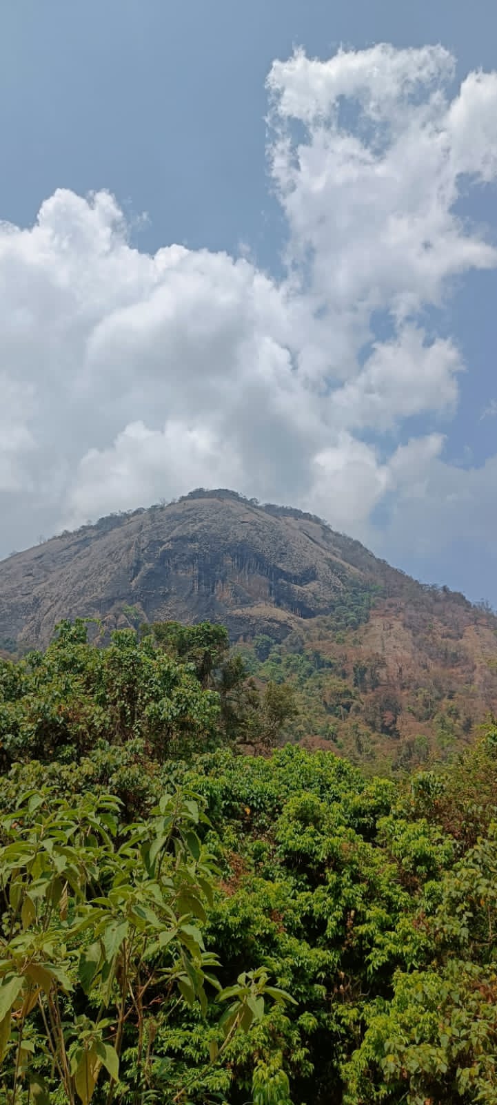 Laws Falls - Laws Falls 8QJX+QX6, Coonoor, Tamil Nadu 643102, India