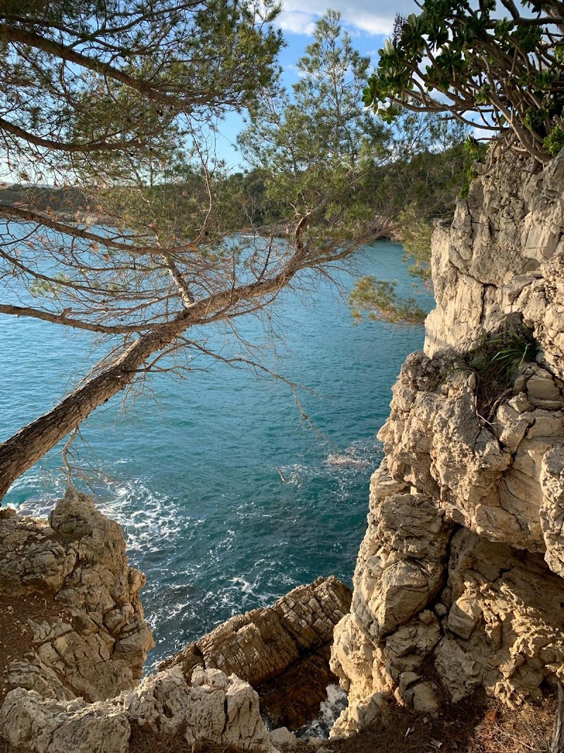 Le Sentier du Littoral, Cap d'Antibes - Le Sentier du Littoral, Cap d'Antibes 11 Chem. des Douaniers, 06160 Antibes, France