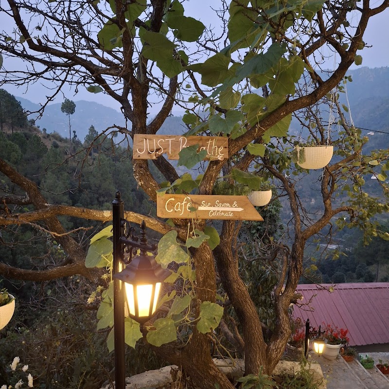 The Ramgarh Cafe - The Ramgarh Cafe, Whispering Oaks by Happy Himalayan P.O. Malla Ramgarh, Village Behrakot, Jamrani Road, Ramgarh, Umagarh, Uttarakhand 263137, India