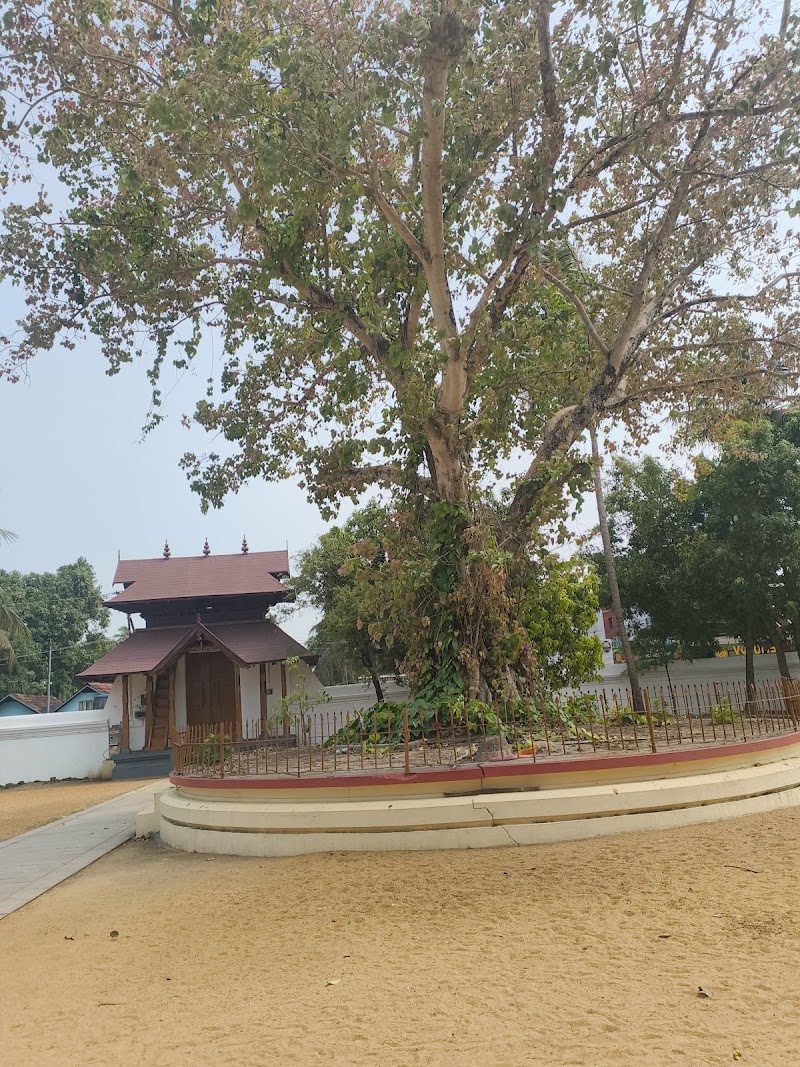 Vaikom Mahadeva Temple - Vaikom Mahadeva Temple, P9XW+V9R Travancore Devaswom Board, 1, Vaikom, Kerala 686141, India