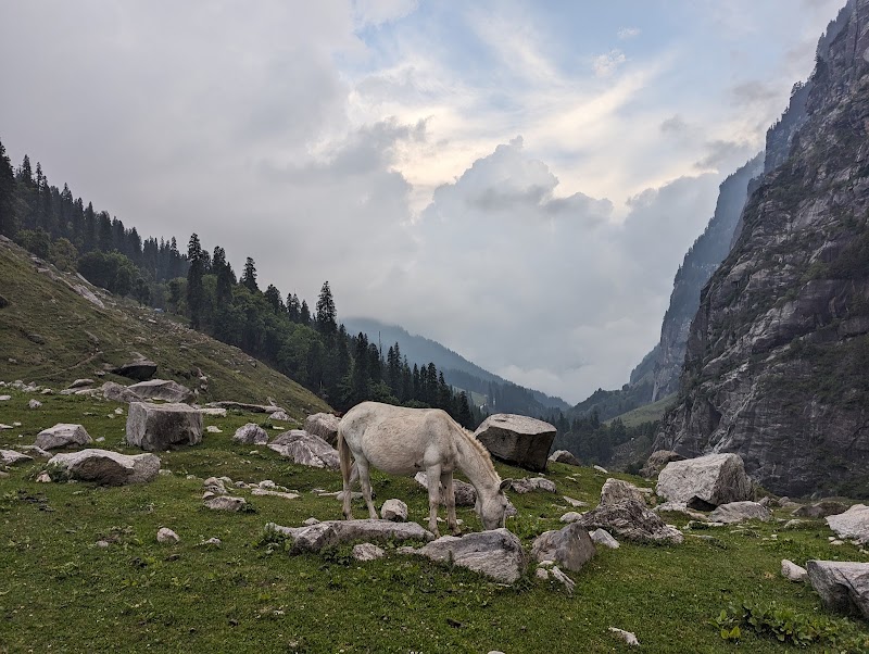Lower Chikha Camp site