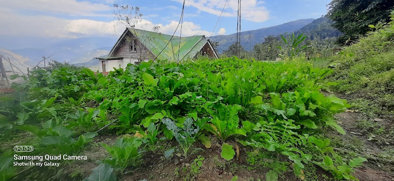Tadong Farm House - Tadong Farm House 66QV+H7, Kaluk, Sikkim 737121, India