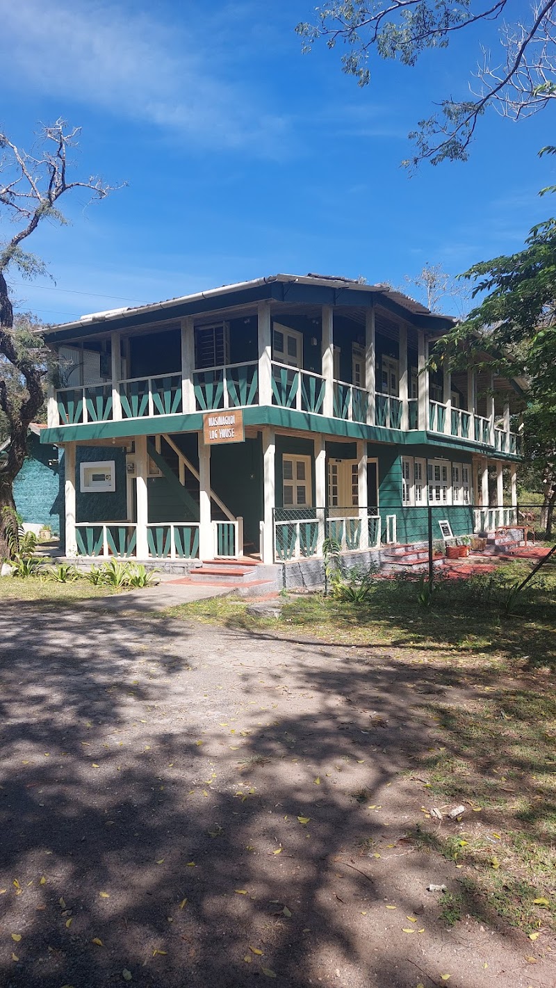 Masinagudi Log House
