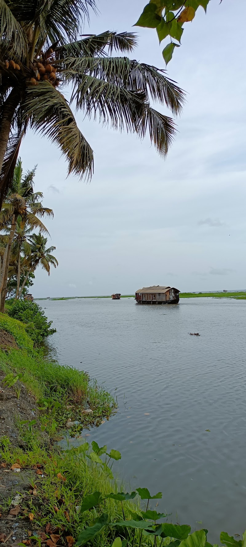 Village Life Experience - Village Life Experience JCHH+8QF, Kavanattinkara, Kumarakom, Kerala 686563, India
