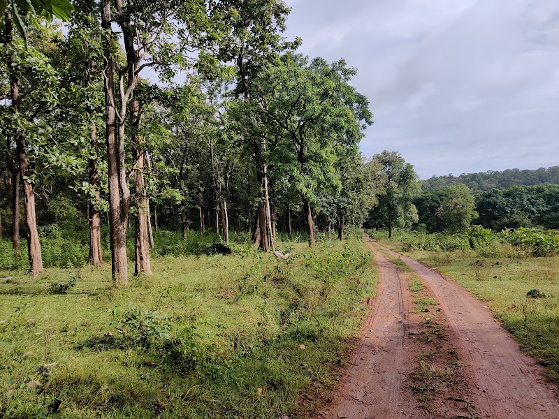 Nagarahole Tiger Reserve - Nagarahole Tiger Reserve, Karnataka, India