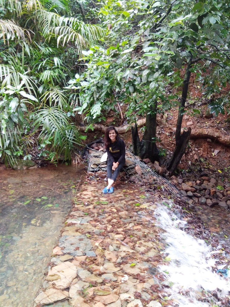Kuske Waterfall - Kuske Waterfall 26C5+MFM, Cotigao, Goa 403702, India