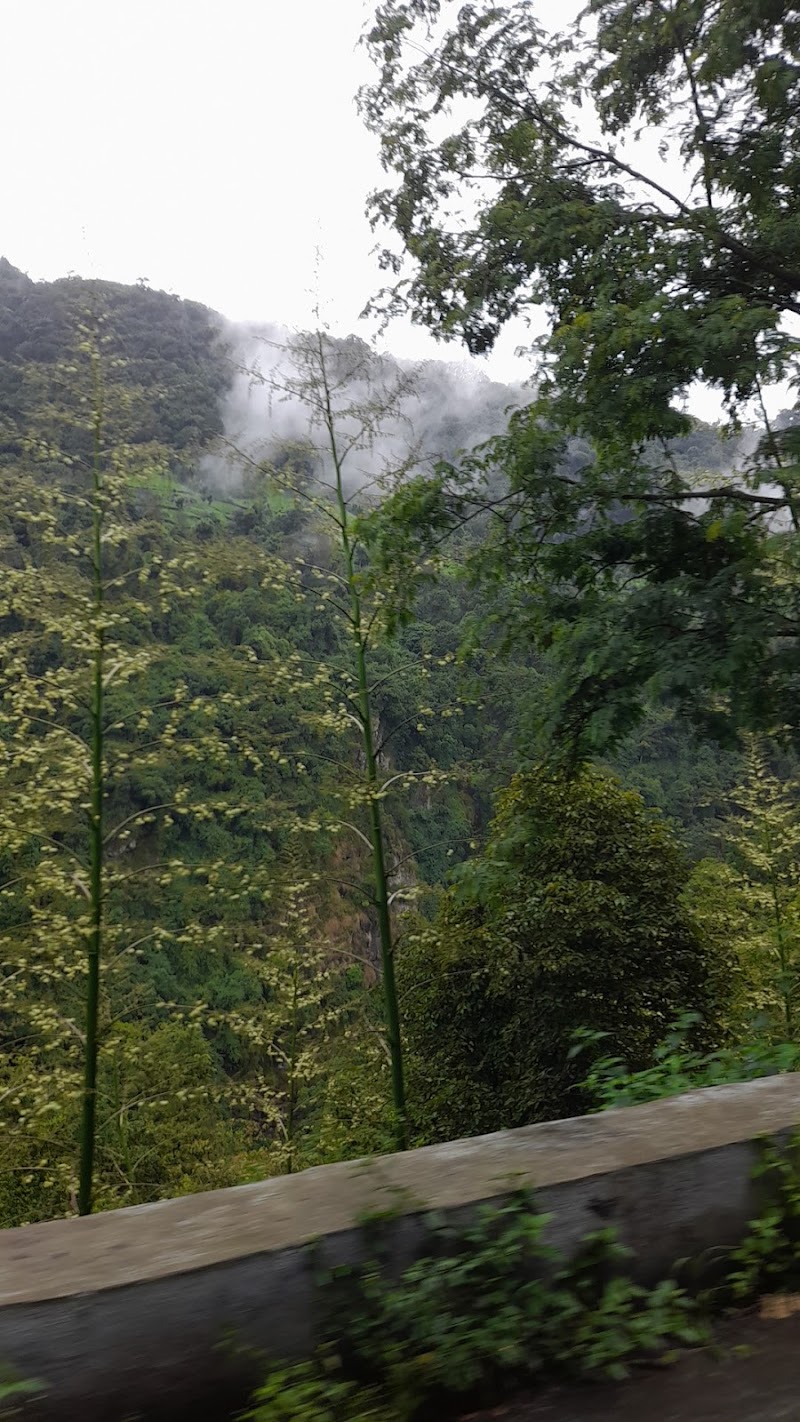 Laws Falls - Laws Falls 8QJX+QX6, Coonoor, Tamil Nadu 643102, India