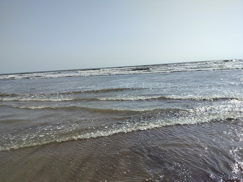 Diveagar Beach - Diveagar Beach Diveagar, Maharashtra 402404, India