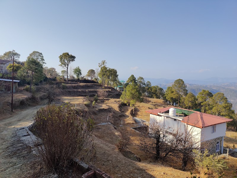 Deepali Astro - Deepali Astro, T2/Tower 1, 404, Pine Oak Paradise, Shyamkhet, Bhowali, Sukha, Uttarakhand 263132, India