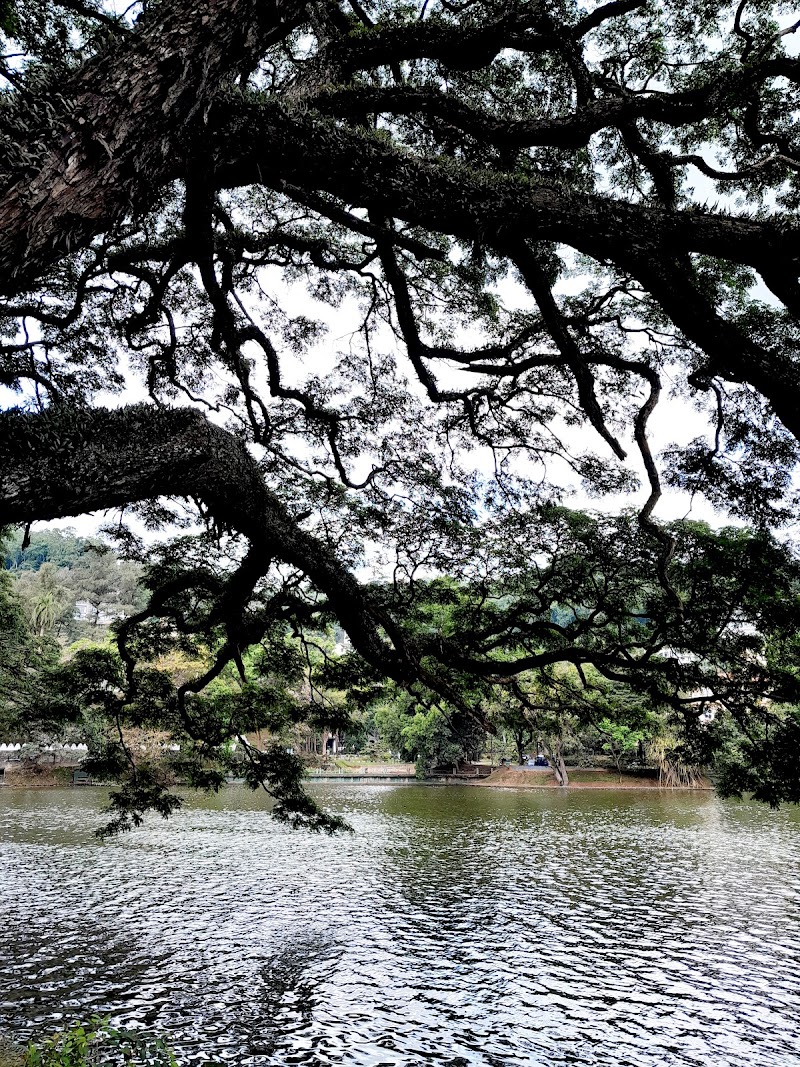 Kandy Lake Round - Kandy Lake Round, 7JVQ+448, Kandy, Sri Lanka