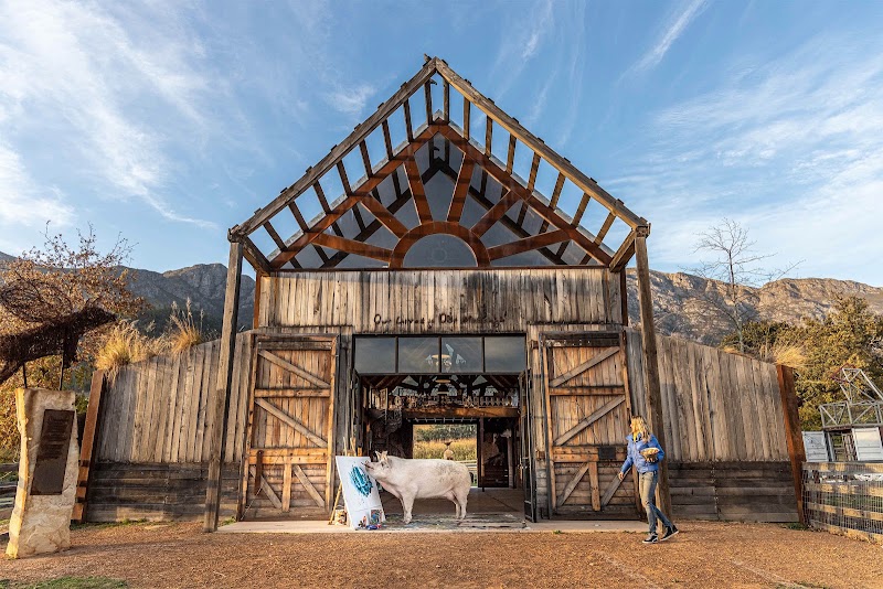 Farm Sanctuary SA - Farm Sanctuary SA, 63 Dirkie Uys St, Franschhoek, 7690, South Africa