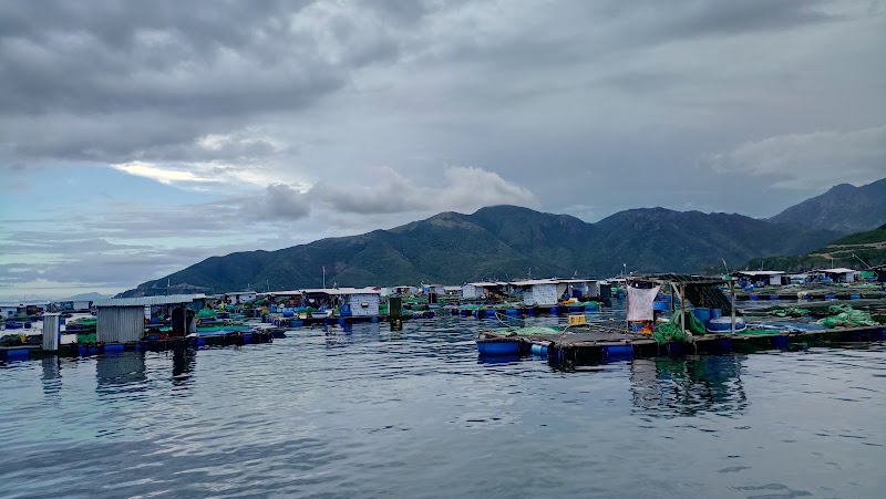 Flyboard Nha Trang - Flyboard Nha Trang Ana Marina, Đường Nguyễn Cơ Thạch, Khánh Hòa, Vietnam
