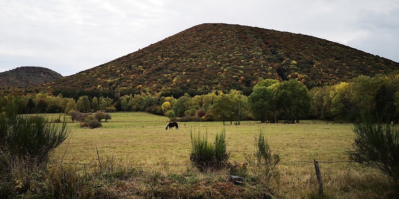 Le Gîte des Rioux,**** au cœur des Volcans d'Auvergne - Le Gîte des Rioux,**** au cœur des Volcans d'Auvergne 1 impasse Rège, 63210 Ceyssat, France