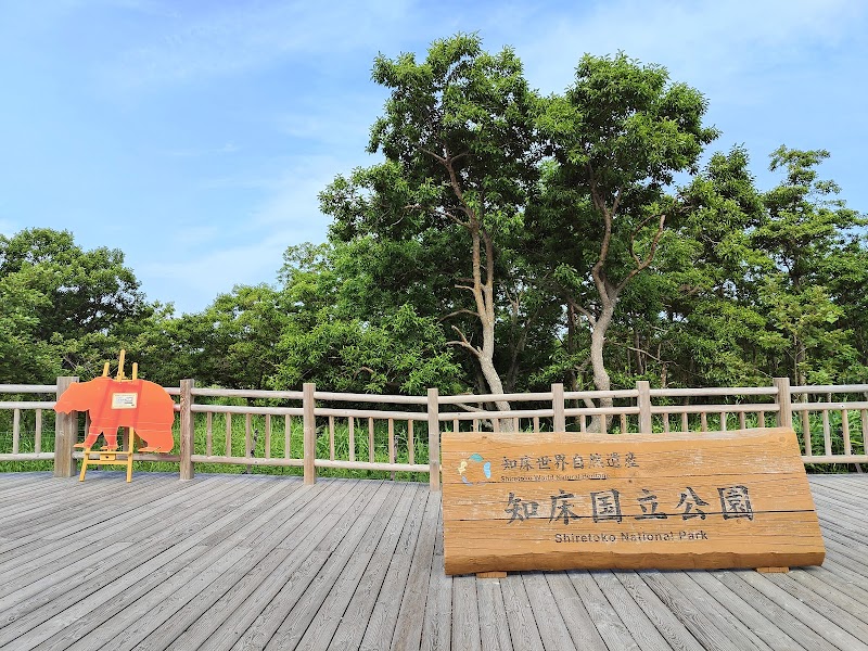 Shiretoko National Park - Shiretoko National Park, Japan, Hokkaido, Shari District, Shari, ・目梨郡羅臼町