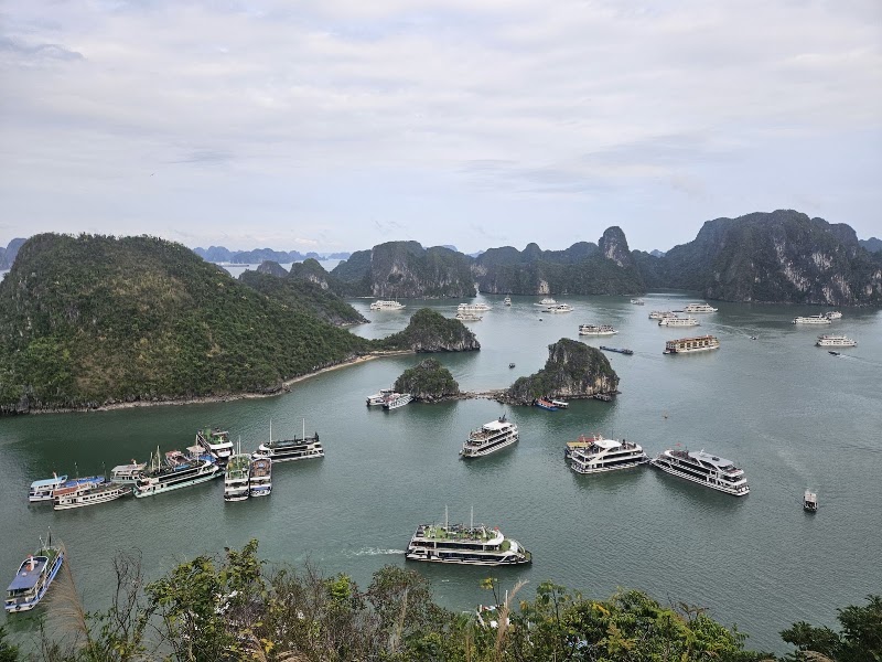 Dragon Cruise - A Luxury Day Cruise In Halong Bay - Dragon Cruise - A Luxury Day Cruise In Halong Bay X334+99W Located in: Halong International Cruise Port, Hạ Long, Quảng Ninh 200000, Vietnam