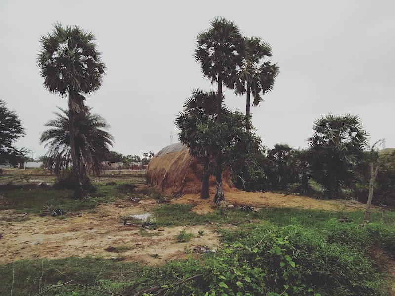 Allur - Allur, Andhra Pradesh, India