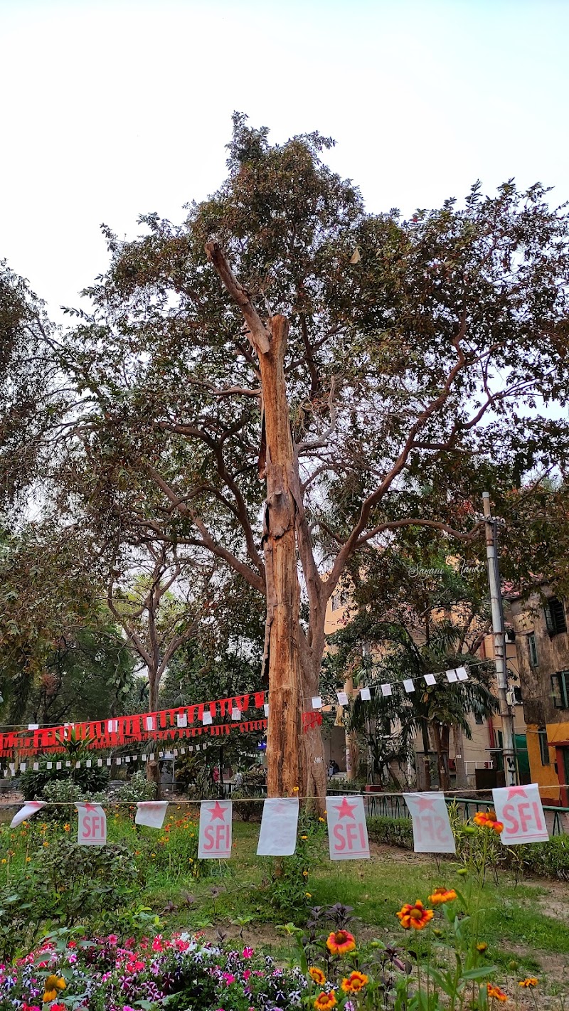 TEQIP Building - TEQIP BUILDING, JADAVPUR UNIVERSITY, 188, Raja Subodh Chandra Mallick Rd, University , near gate no. 3, Jadavpur, Kolkata, West Bengal 700032, India