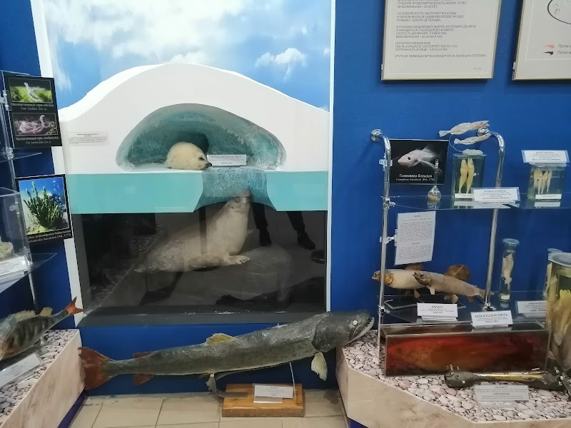 Baikal Museum - Baikal Museum, Akademicheskaya Ulitsa, 1А, Listvyanka, Irkutskaya oblast', Russia, 664520