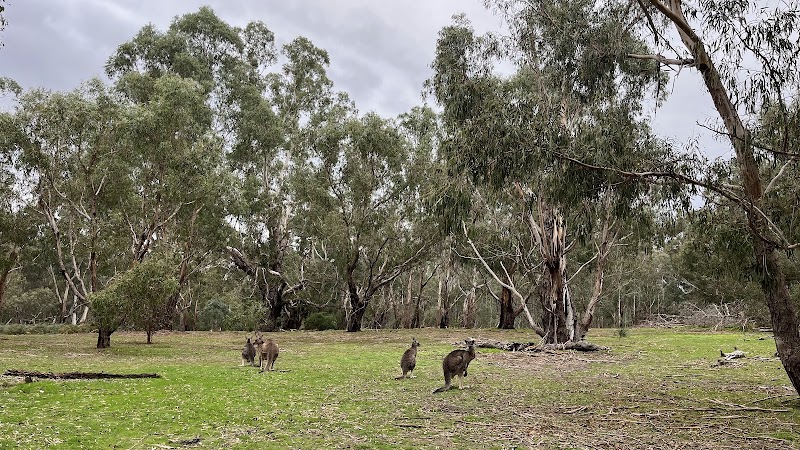Yarra Valley Parklands - Yarra Valley Parklands, Fitzsimons Ln, Templestowe VIC 3106, Australia
