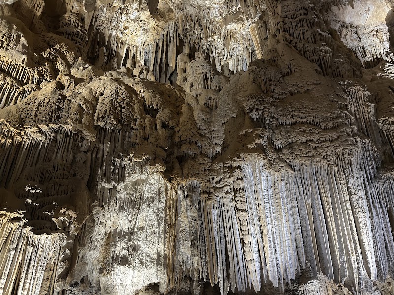 Lake Shasta Caverns