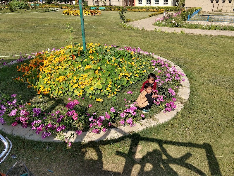 Rose Garden - Rose Garden, 48P4+V7Q, NTPC Twp Sipat, Chhattisgarh 495555, India