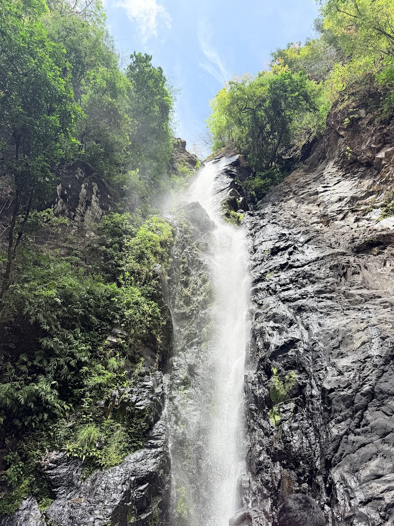 Netravali Wildlife Sanctuary Goa - Netravali Wildlife Sanctuary Goa 36MJ+FR7, Unnamed Road, Neturlim, Goa 403704, India