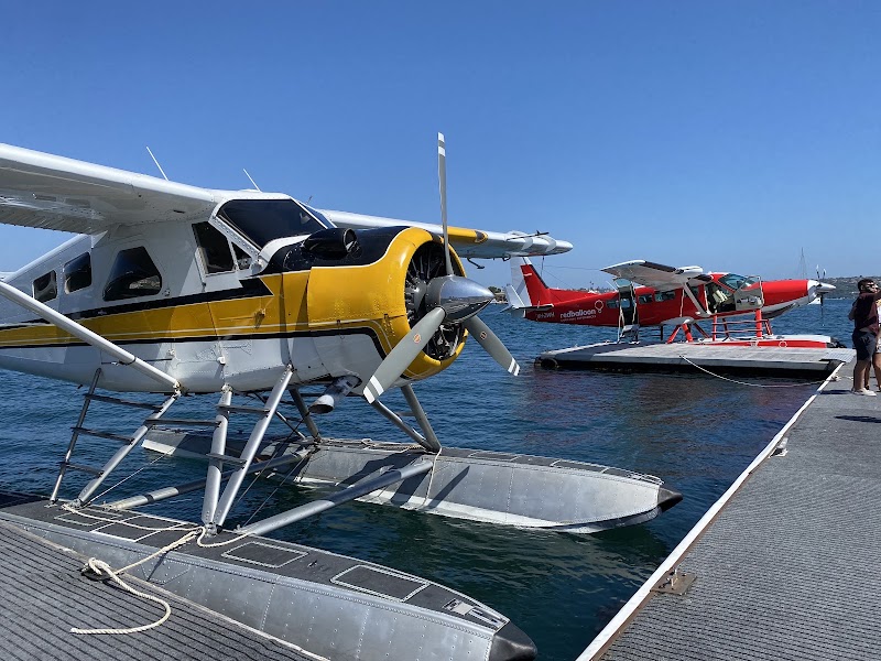 Sydney Seaplanes - Sydney Seaplanes, Lyne Park, Rose Bay NSW 2029, Australia