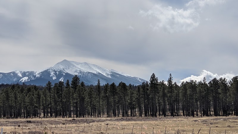 Lake Mary Road - Lake Mary Road, Lake Mary Rd, Flagstaff, AZ, USA