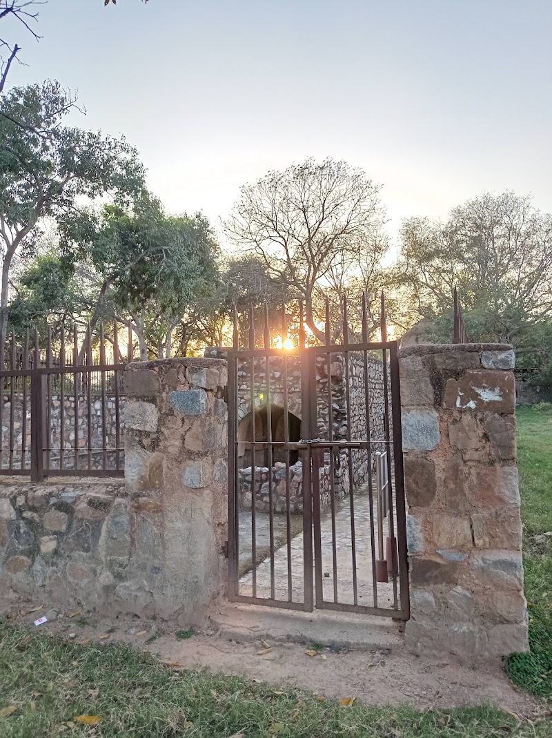 Horse Stable - Horse Stable, G59P+FGP, Mehrauli Archeological Pk Trl, Ladha Sarai Village, Mehrauli, New Delhi, Delhi 110030, India