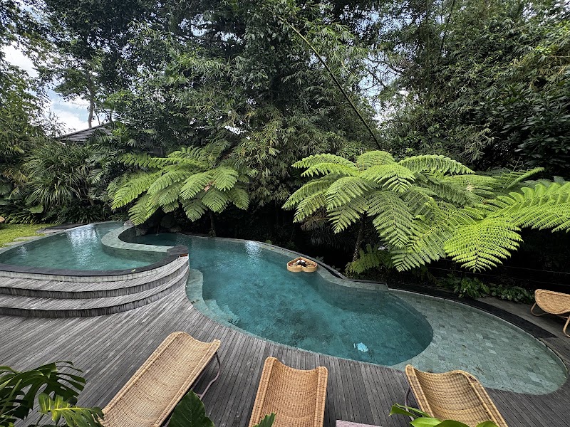 Svaha Spa Teges Ubud by Svaha Wellness - Svaha Spa Teges Ubud by Svaha Wellness Jl. Sawah Indah Gang Amarea No.8, Peliatan, Kecamatan Ubud, Kabupaten Gianyar, Bali 80571, Indonesia