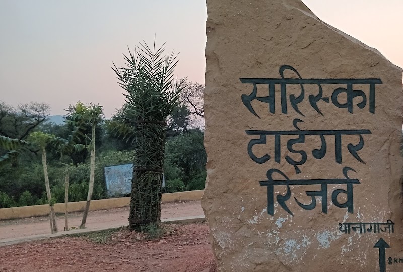 Sariska Safari Booking - Sariska Safari Booking Neare Sariska tiger reserve booking office, Ganeshpura With Rundh Kali Ghati, Rajasthan 301022, India