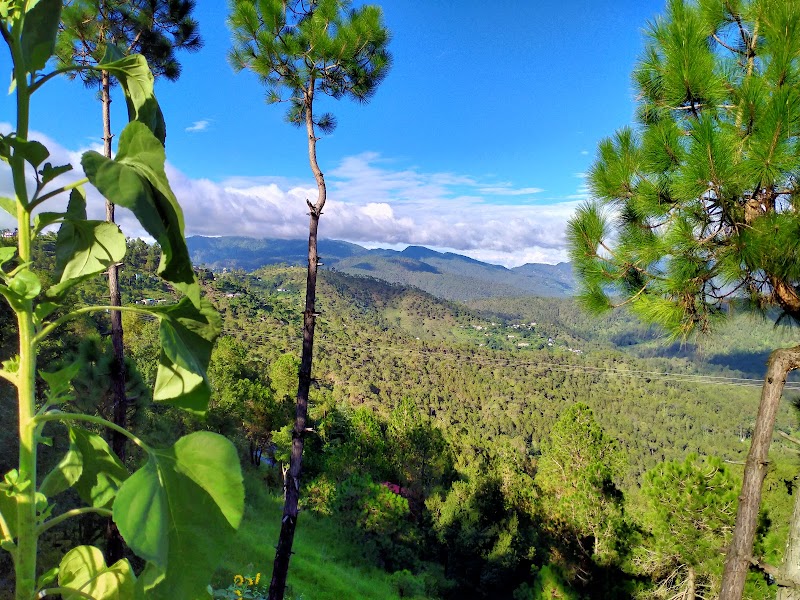 Kasar Mountain light homestay - Kasar Mountain light homestay Kasardevi maat Binsar Road kasar, Dugalkhola, Khagmara Kote, Uttarakhand 263601, India