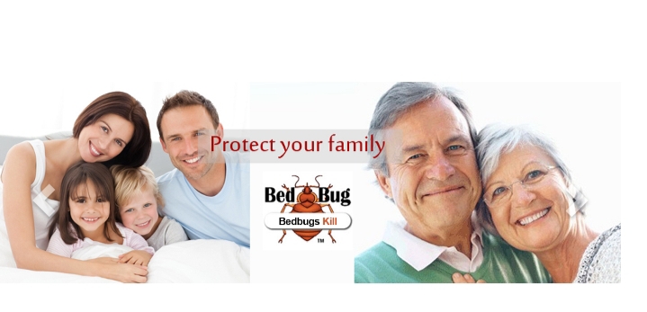 Bed bug control services - Bed bug control services, 329/9, 1st Main Rd, Chandra Reddy Layout, Teachers Colony, Koramangala, Bengaluru, Karnataka 560102, India