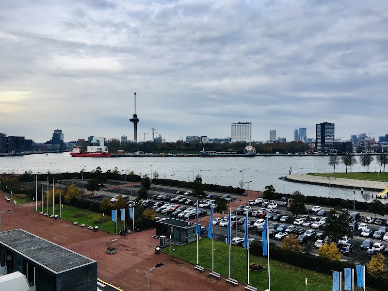 Nieuwe Maas - Nieuwe Maas, Netherlands