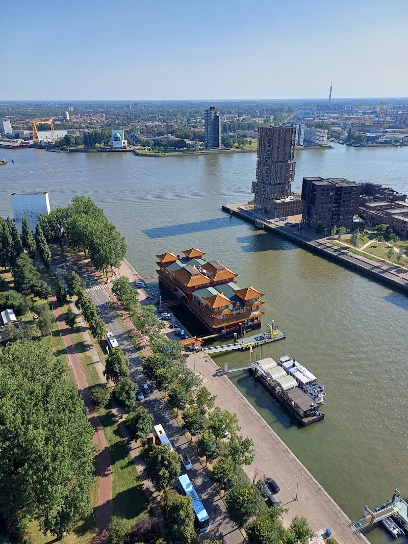 Euromast - Euromast Parkhaven 20, 3016 GM Rotterdam, Netherlands