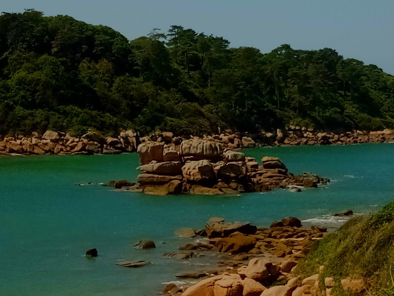 Pointe de l'Ile Renote - Pointe de l'Ile Renote, Trégastel, France