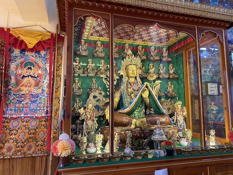 Namgyal Monastery - Namgyal Monastery 68MF+2X2, Temple Rd, McLeod Ganj, Dharamshala, Himachal Pradesh 176215, India
