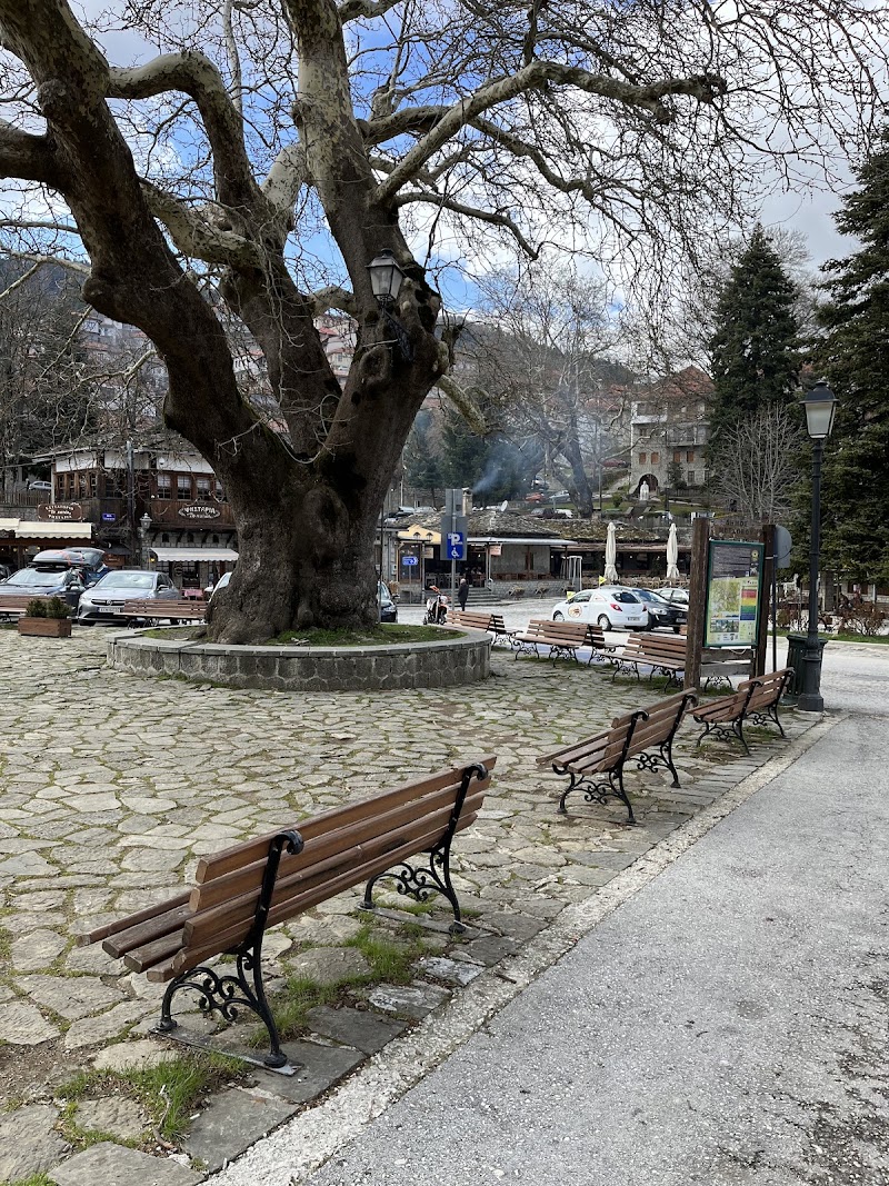Metsovo - Metsovo Metsovo 442 00, Greece