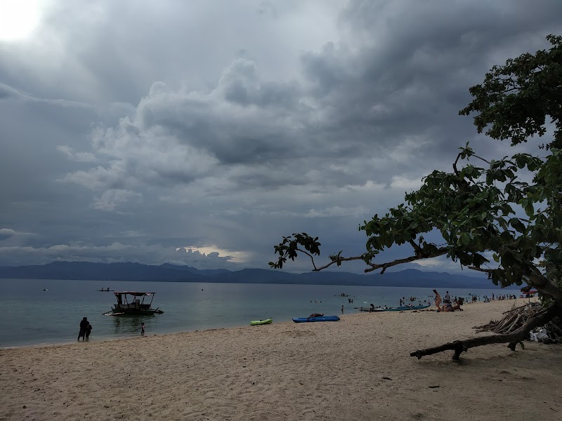 Moalboal Beach Resort - Moalboal Beach Resort Whitebeach, Moalboal, 6032 Cebu, Philippines