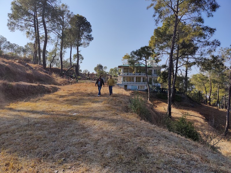 Deepali Astro - Deepali Astro, T2/Tower 1, 404, Pine Oak Paradise, Shyamkhet, Bhowali, Sukha, Uttarakhand 263132, India