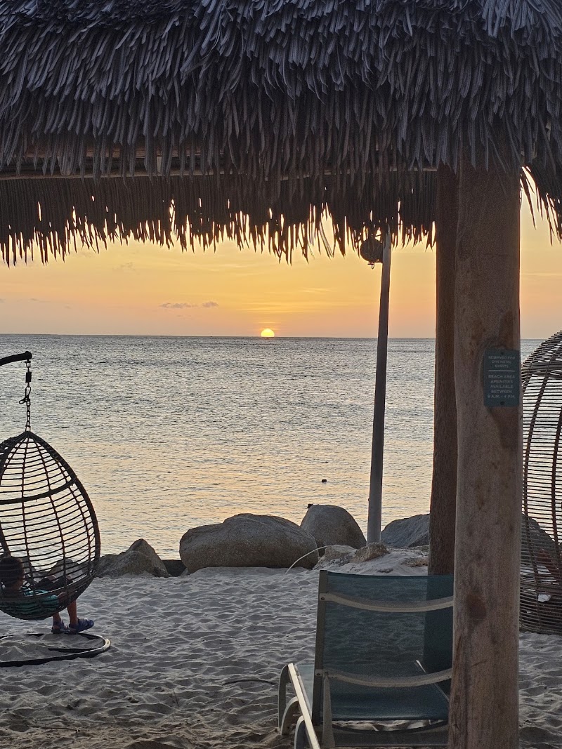 Beach Bar - Beach Bar, J.E. Irausquin Blvd 41, Oranjestad, Aruba