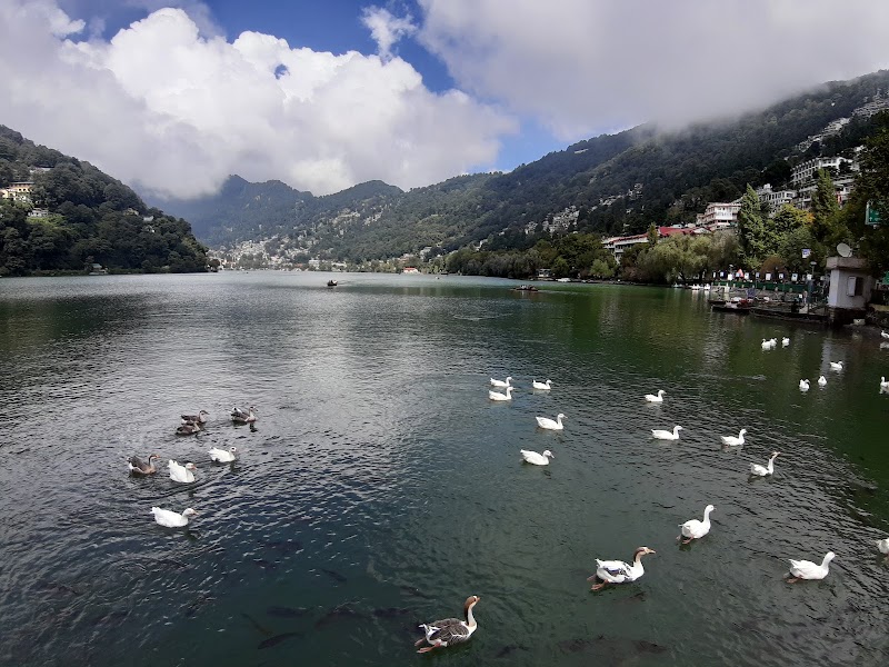 Nainital Lake View Point - Nainital Lake View Point 9FR4+987, Ayarpatta, Nainital, Uttarakhand 263001, India