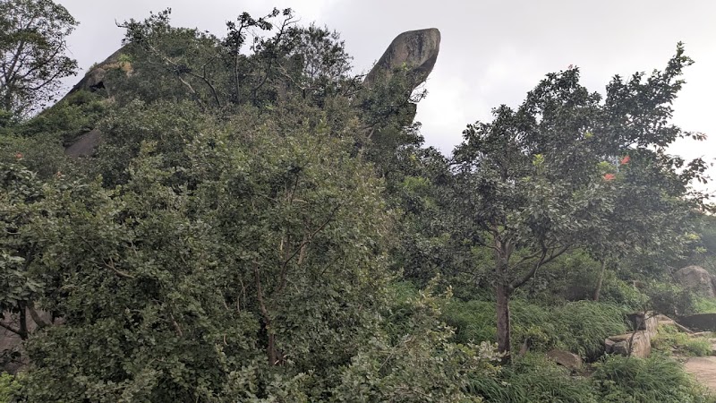 Mount Abu Trekking Hiking Camping in Rajasthan - Mount Abu Trekking Hiking Camping in Rajasthan Major District Road 60, Maa Hinglaaj Nagar, Jagannath Puri, Suraj Nagar, Nakki Lake, Jaipur, Jaipur Nagar Nigam Area, Rajasthan 302012, India