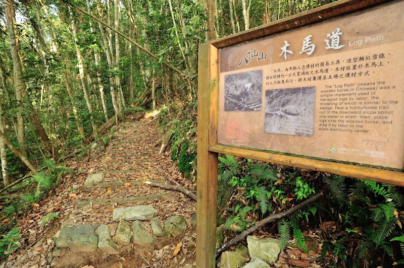 Eight Immortals Mountain - Eight Immortals Mountain, Heping District, Taichung City, Taiwan 424