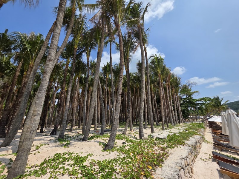 Sao beach, Phuoc Quoc, Vietnam - Sao beach, Phuoc Quoc, Vietnam, 323P+M58, Kien Giang, Vietnam