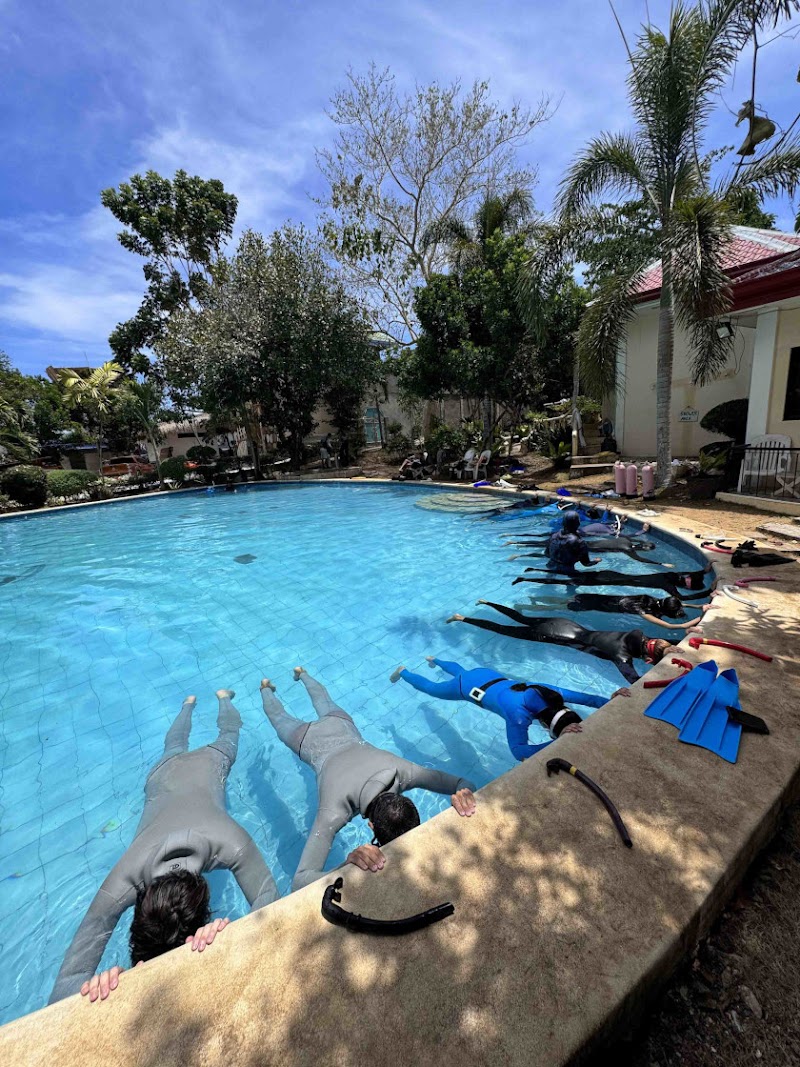 Freediving in Panglao, Bohol | Blue Freedom - Freediving in Panglao, Bohol | Blue Freedom, Relax Divers Resort Purok 5B, Tangnan, Panglao, 6339 Bohol, Philippines