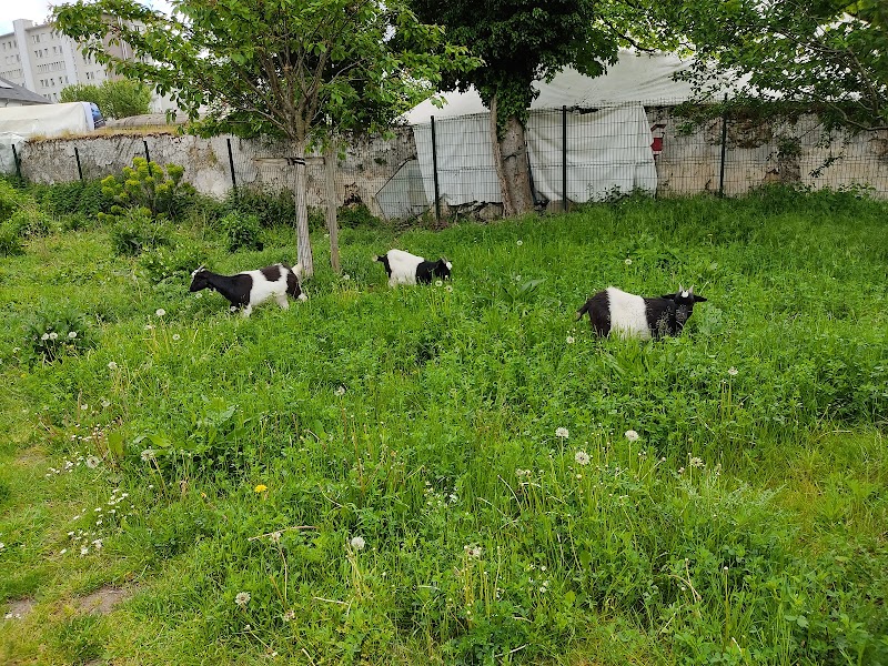 Pouplier Garden - Pouplier Garden, 60 Rue de Saint-Antoine, 93100 Montreuil, France