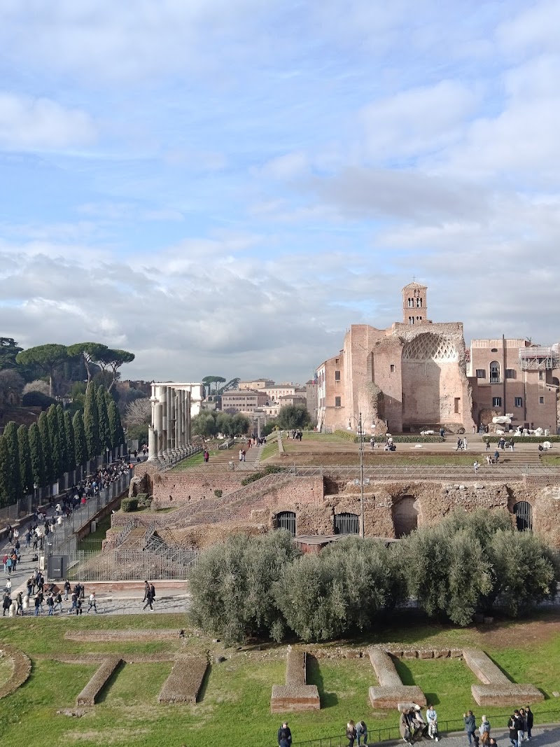 Temple of Venus and Rome - Temple of Venus and Rome Piazza di Santa Maria Nova, 53, 00186 Roma RM, Italy